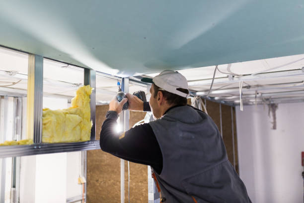 Types of Insulation We Offer in Argo, AL